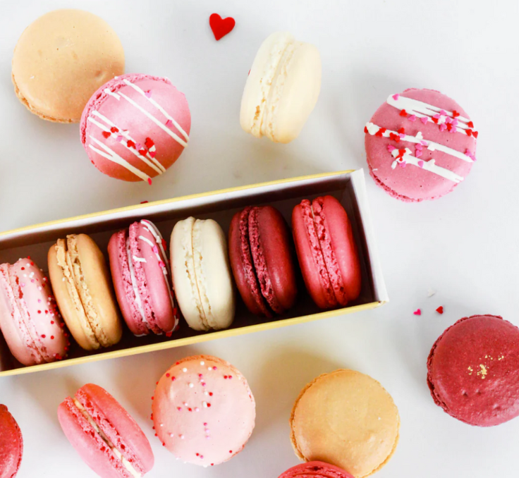 Website photo size (1)